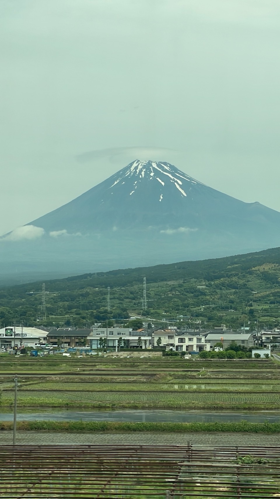 借住何處 25/25 #957