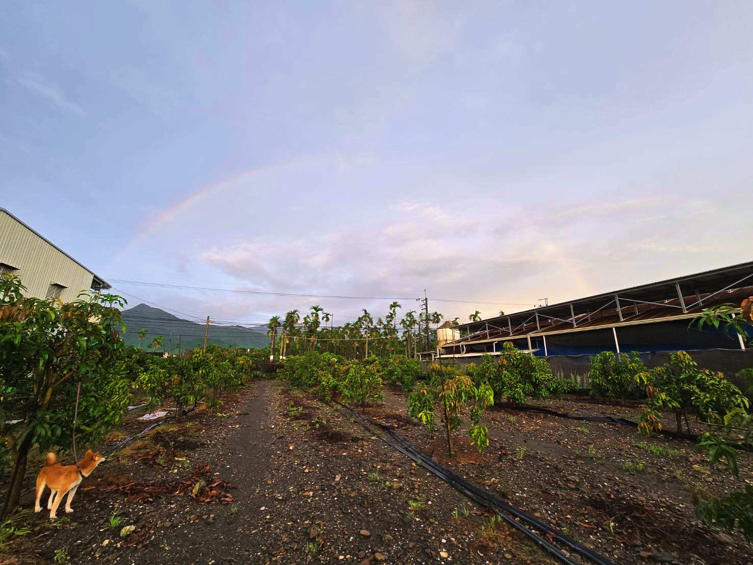 時間存在嗎？ #999