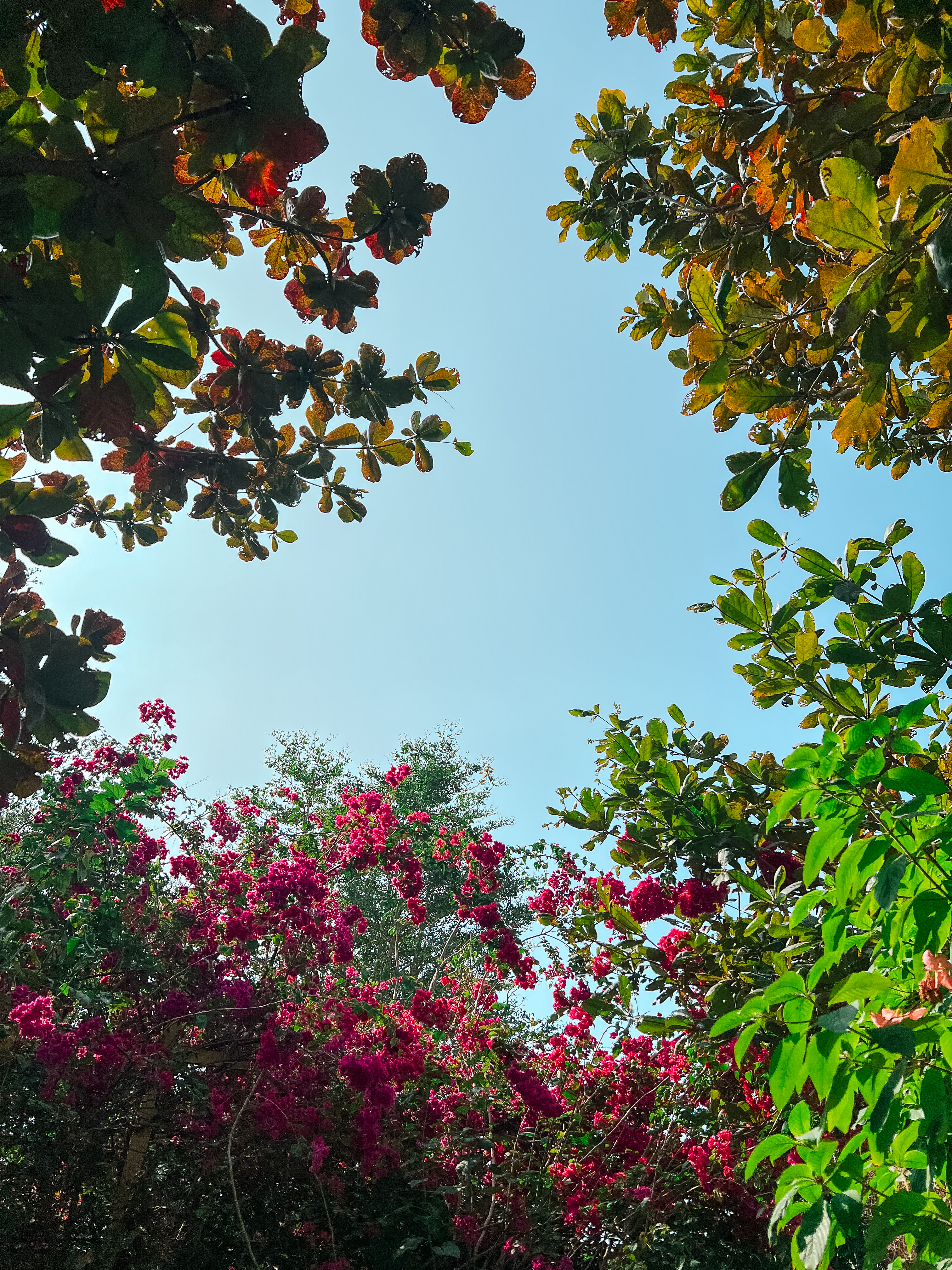 關於[路過這世界] #1086