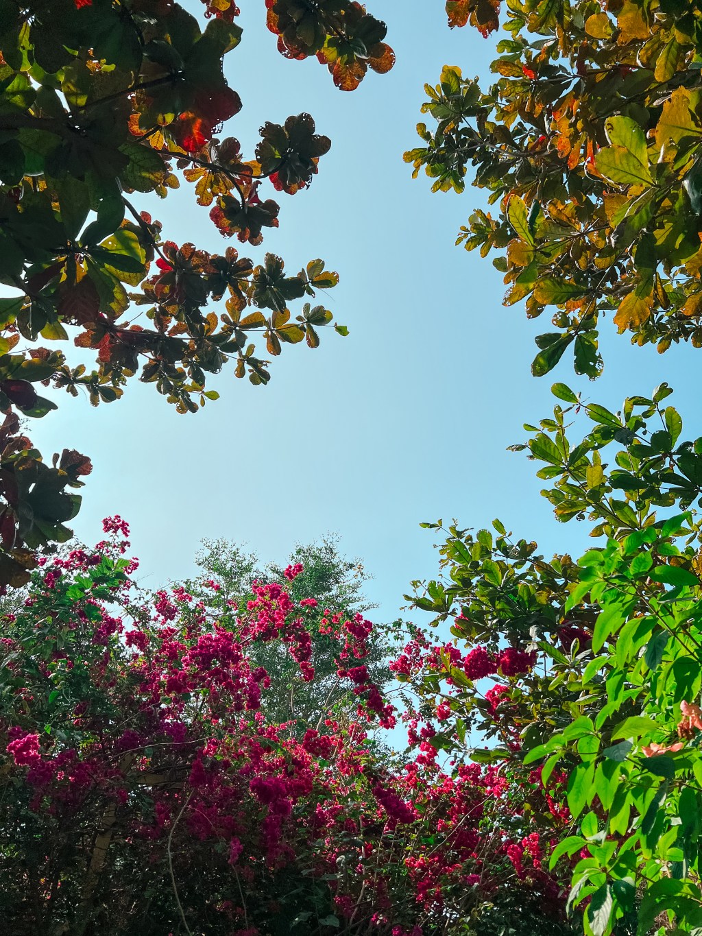 關於[路過這世界] #1086