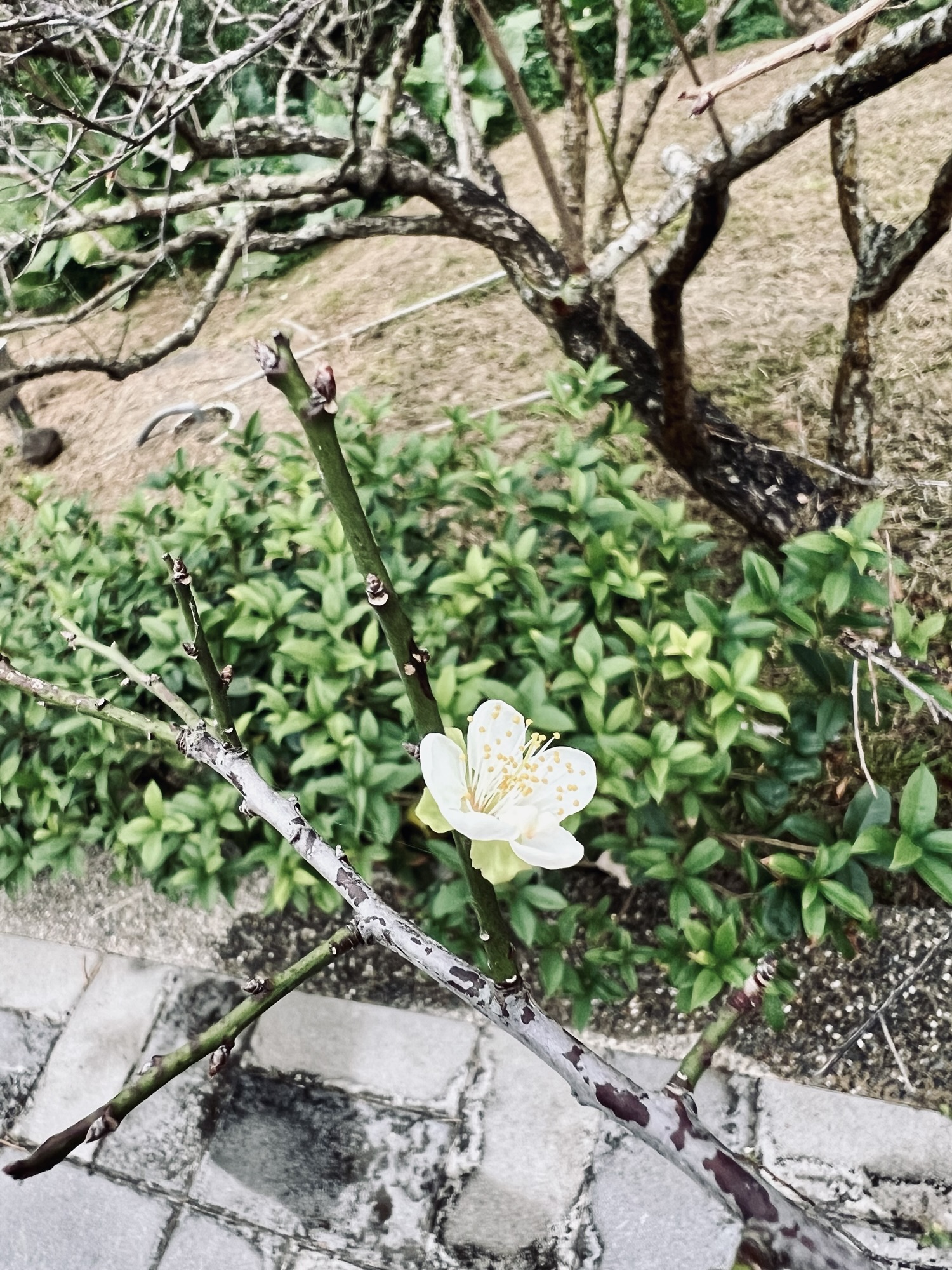 關於[計畫&同理心] 18~19/60 #1120