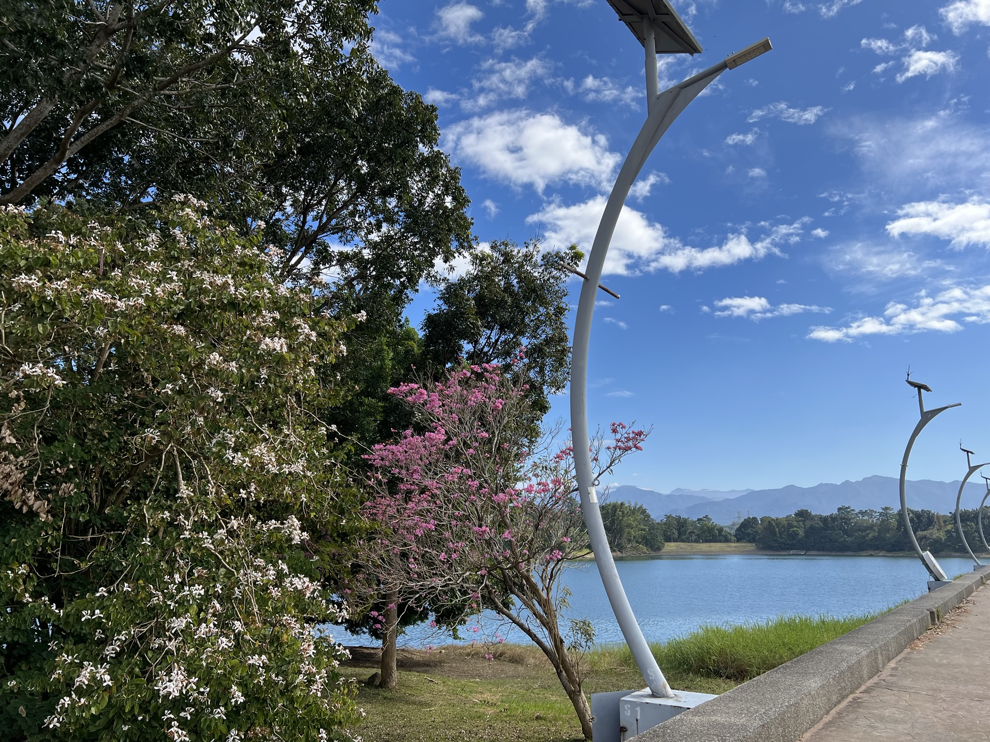 關於[海洋&離開] 33~34/60 #1137