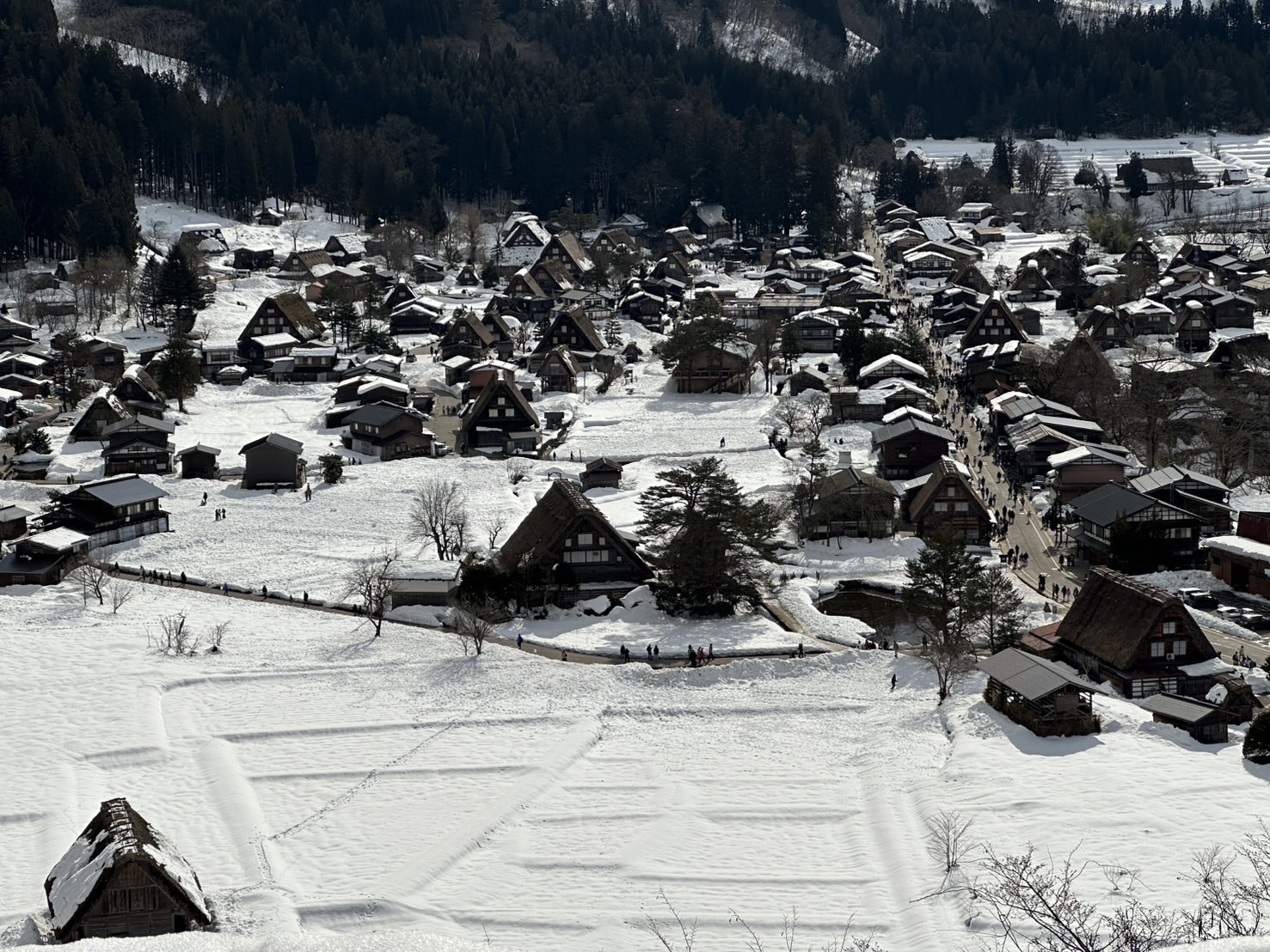 關於[過往&過渡期] 59~60/60 #1169