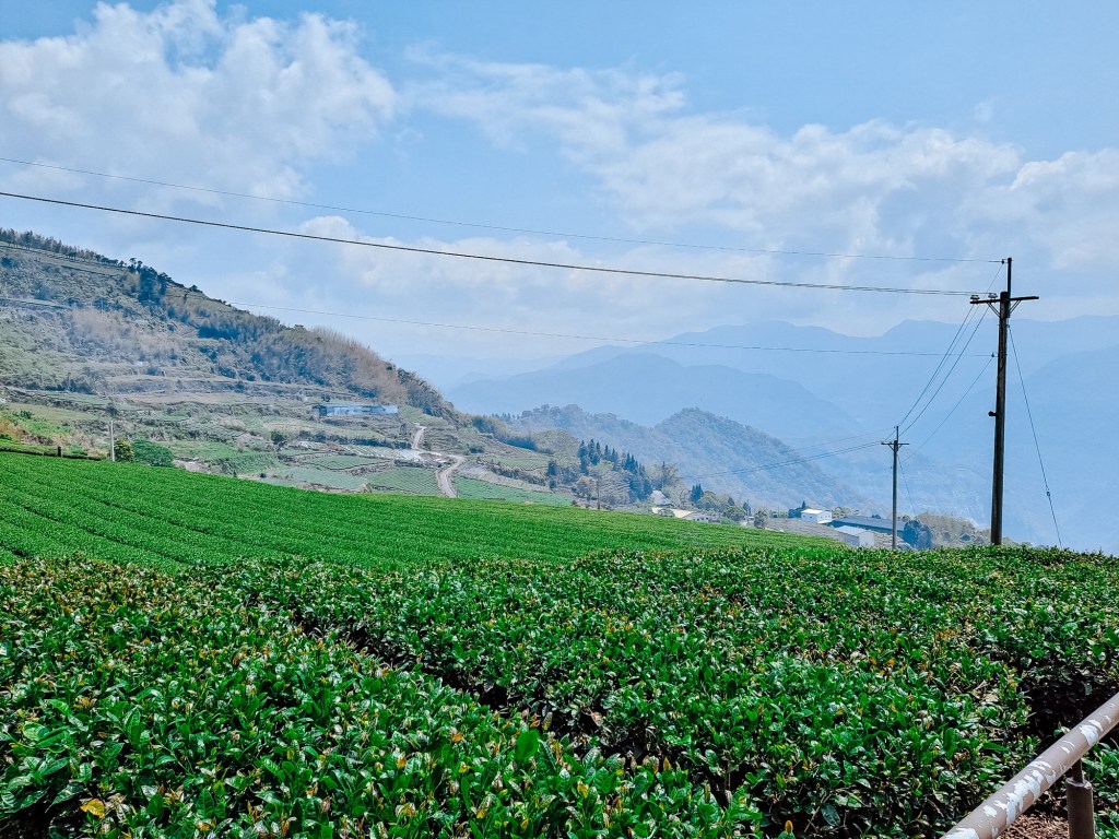 領我上更高之地