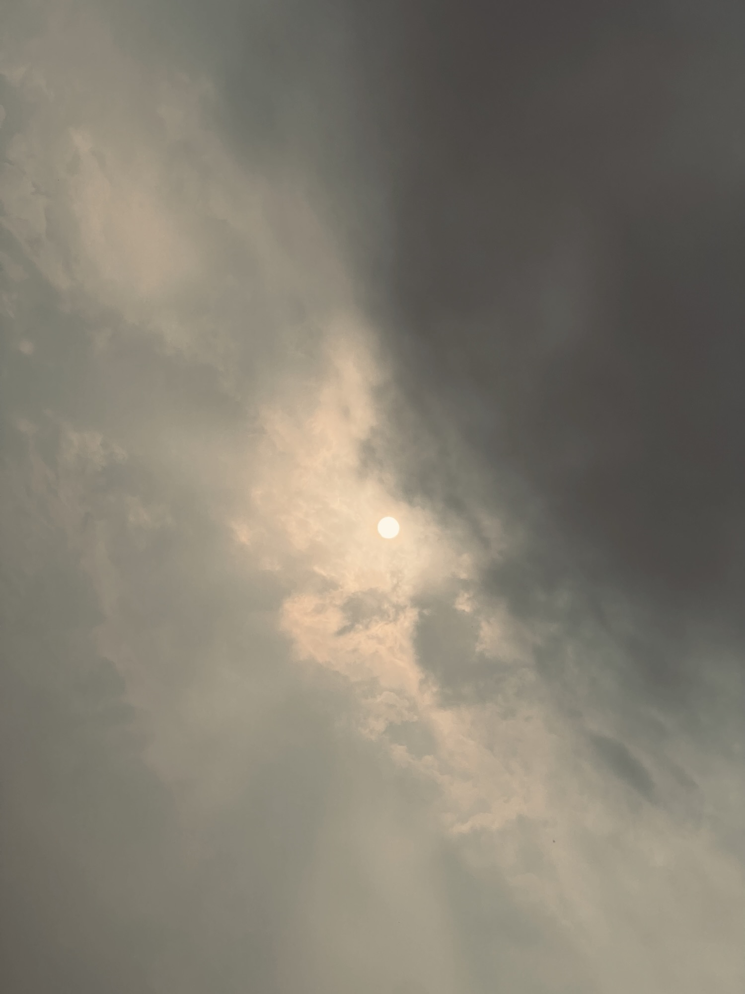 我終於明白，紀錄的真正意義