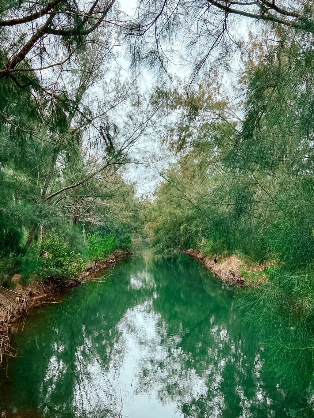 心率69，原來是這個意思