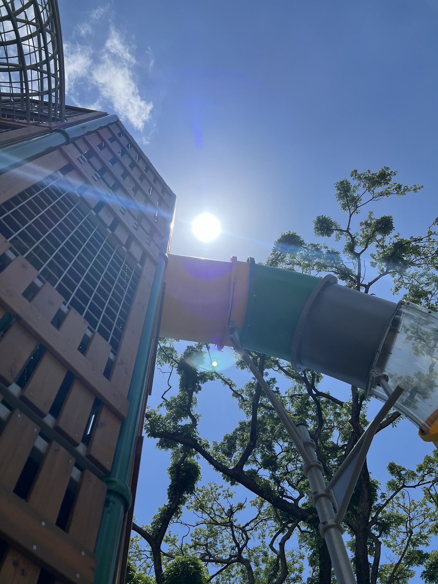 教學，不是讓人記得我，而是讓學生看見他自己。