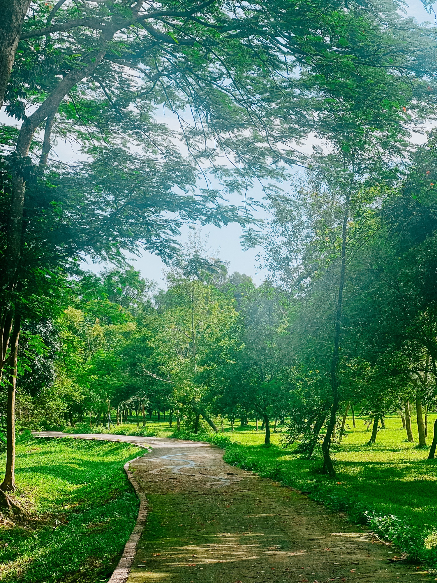 我選擇相信，是因為我看見祂始終存在