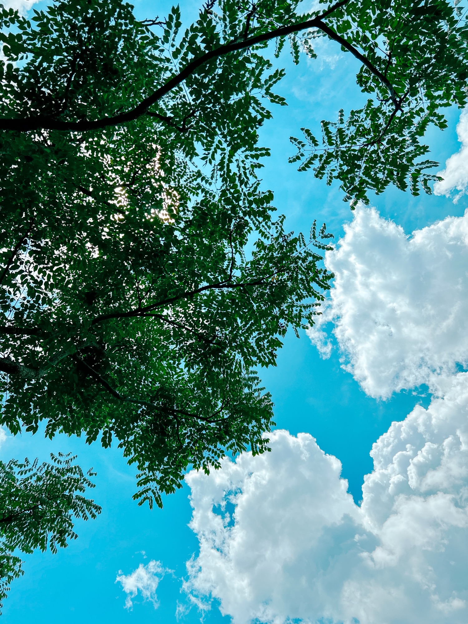 信心與空位的行囊