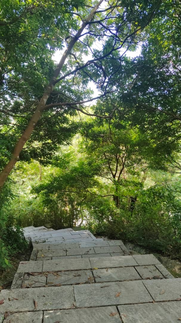 心動，就是行動–Day 362