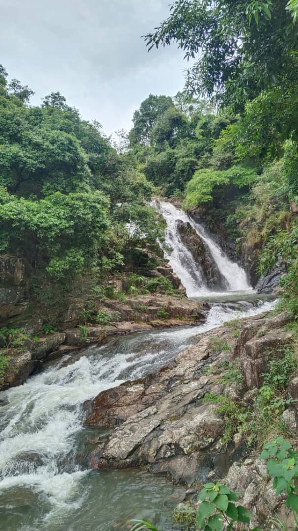捨得那些拖累你前進的-Day351