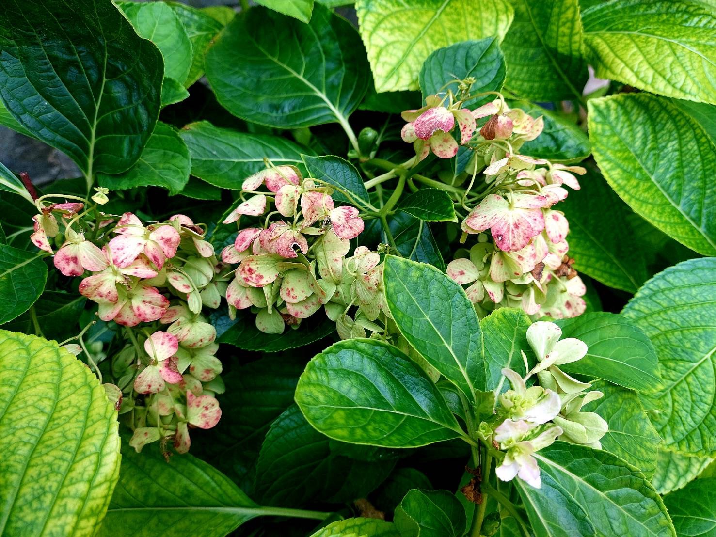 簡單相信，跟上水流 – Day359