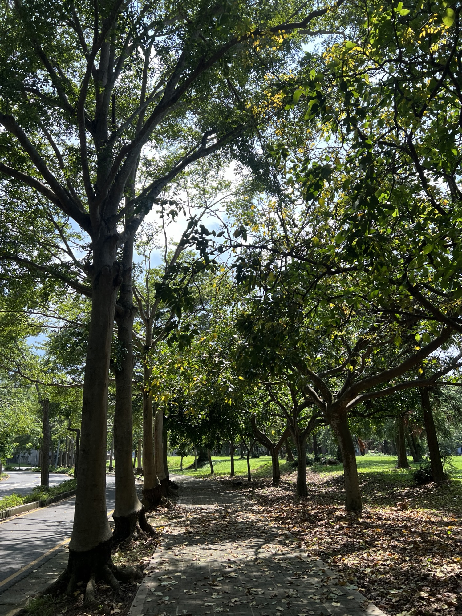 人不缺好的想法，而缺好的執行力 – Day353