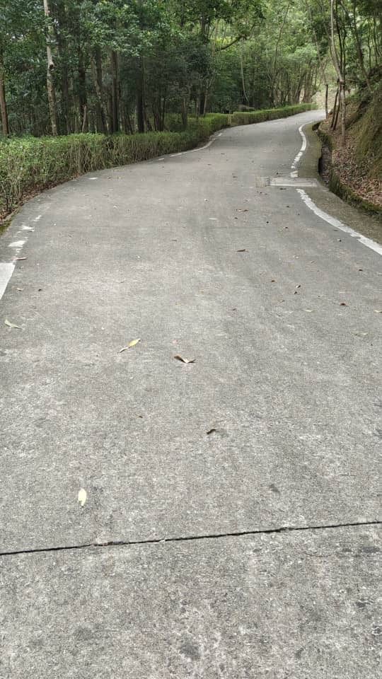 後悔與遺憾，也能成為動力-Day348