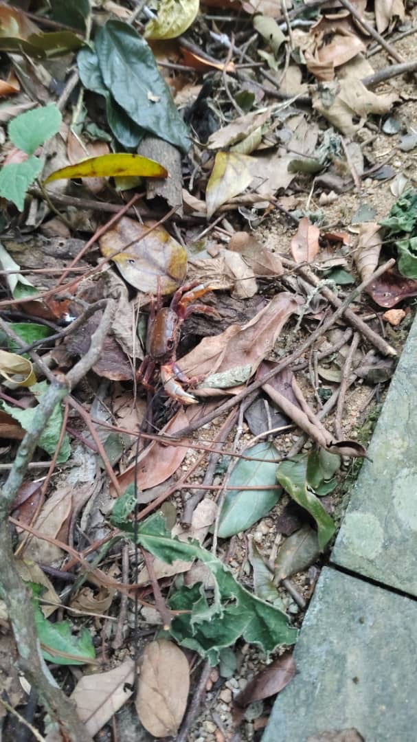 暫停,讓對話呼吸-Day320