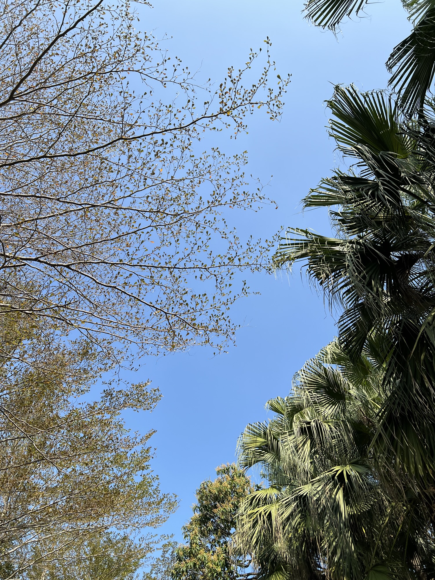 The Joy of Moving with&nbsp;Purpose