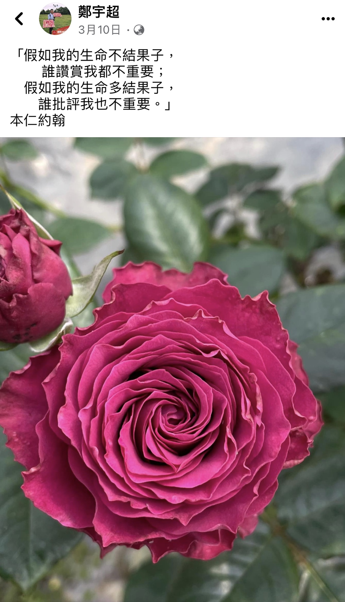 從書裡走進生活的練習-Day341