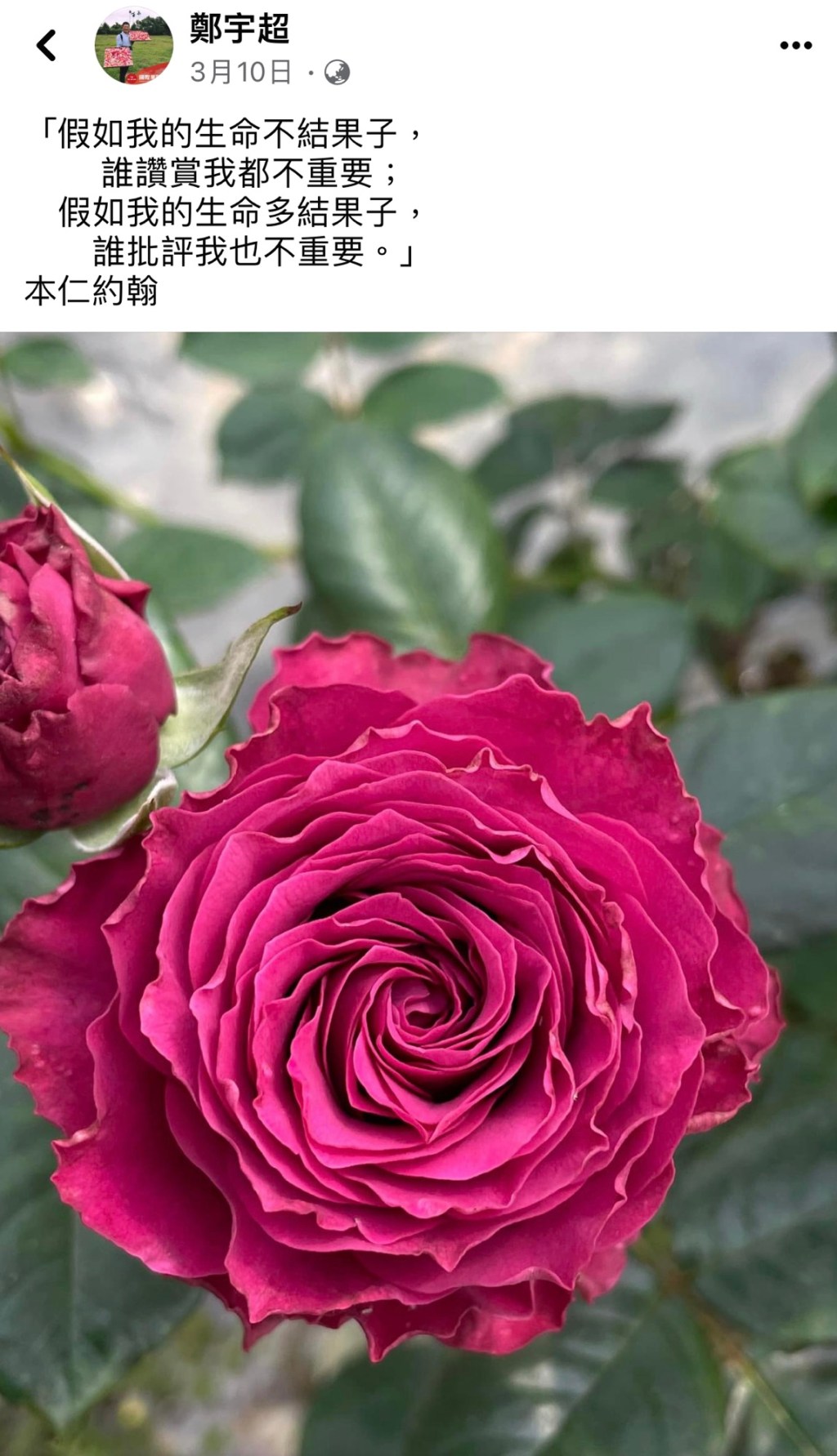 從書裡走進生活的練習-Day341