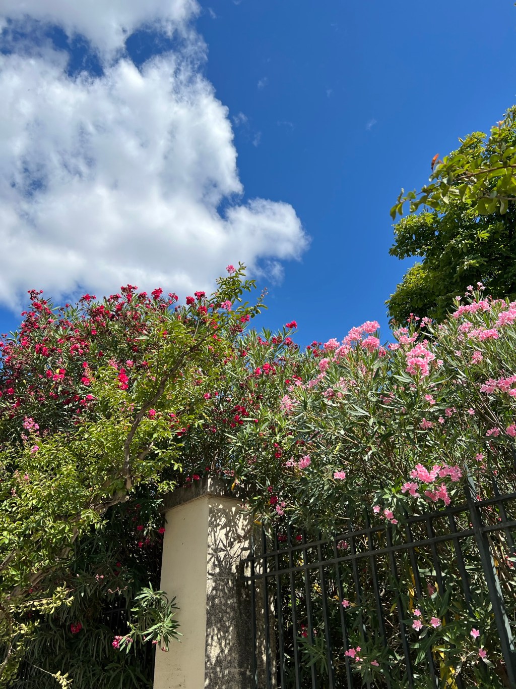 學會留白，讓生活重新呼吸-Day337