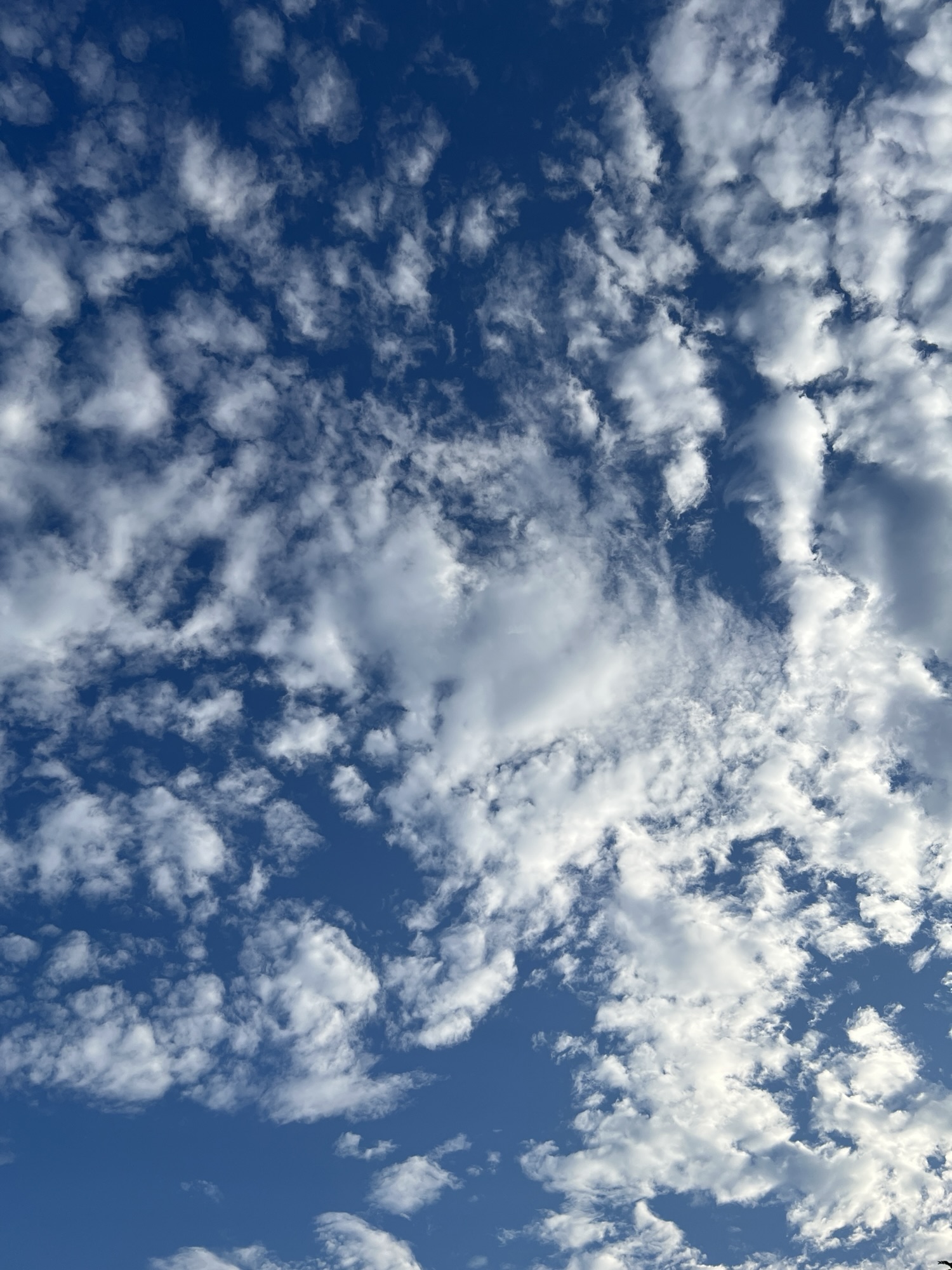 愛,原來有一點麻煩-Day345