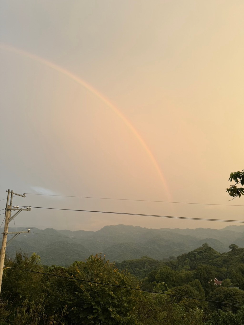 學會放下,才真正得著-Day346