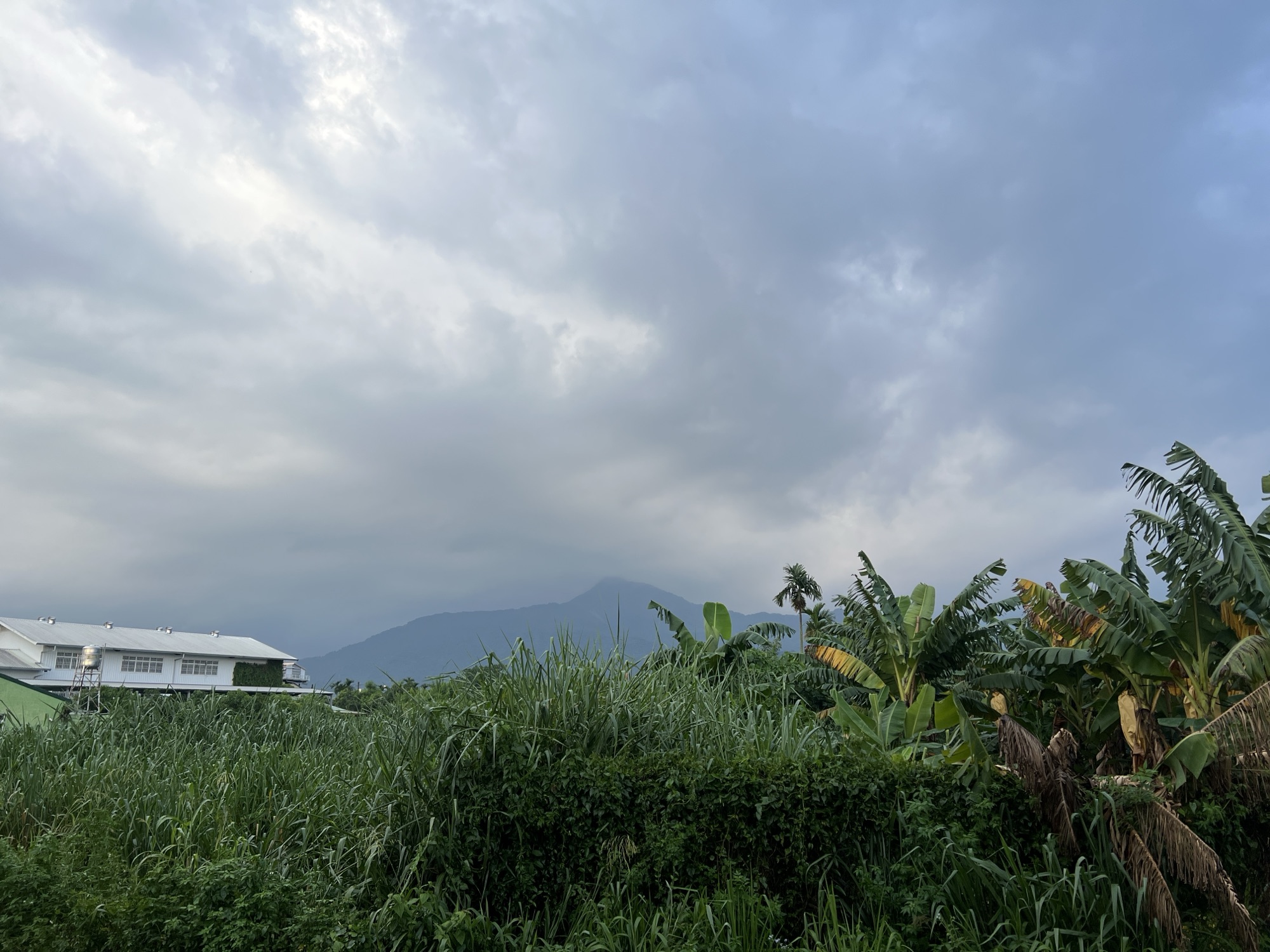 放鬆,是一種練習-Day344