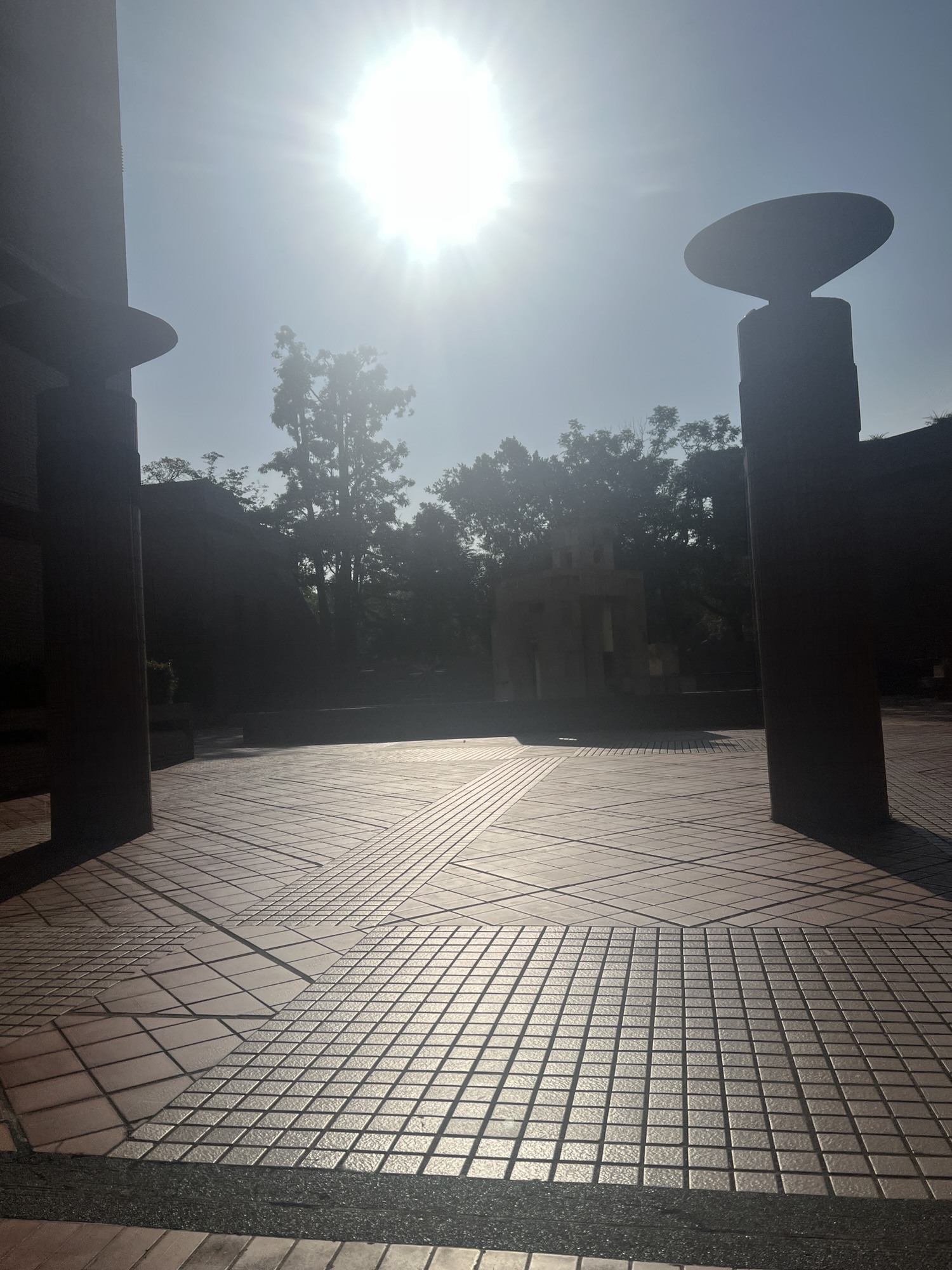 信心帶來的放鬆-Day339