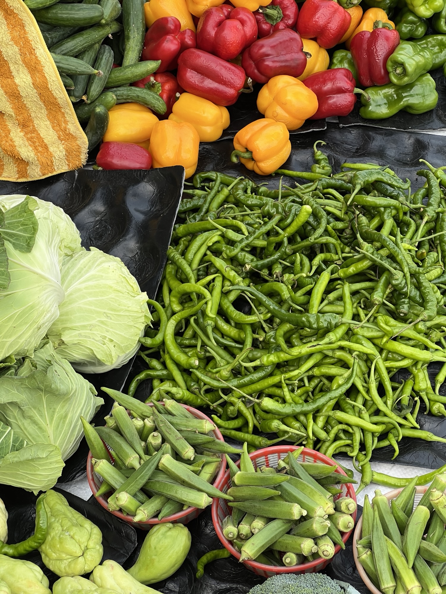 學會按下暫停鍵-Day335