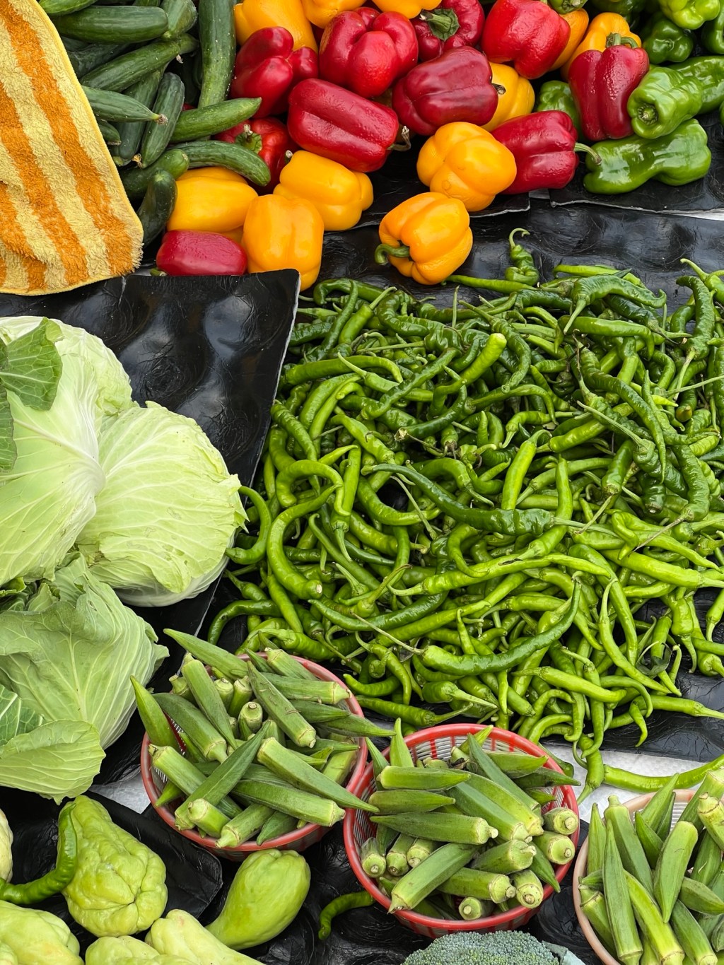 學會按下暫停鍵-Day335