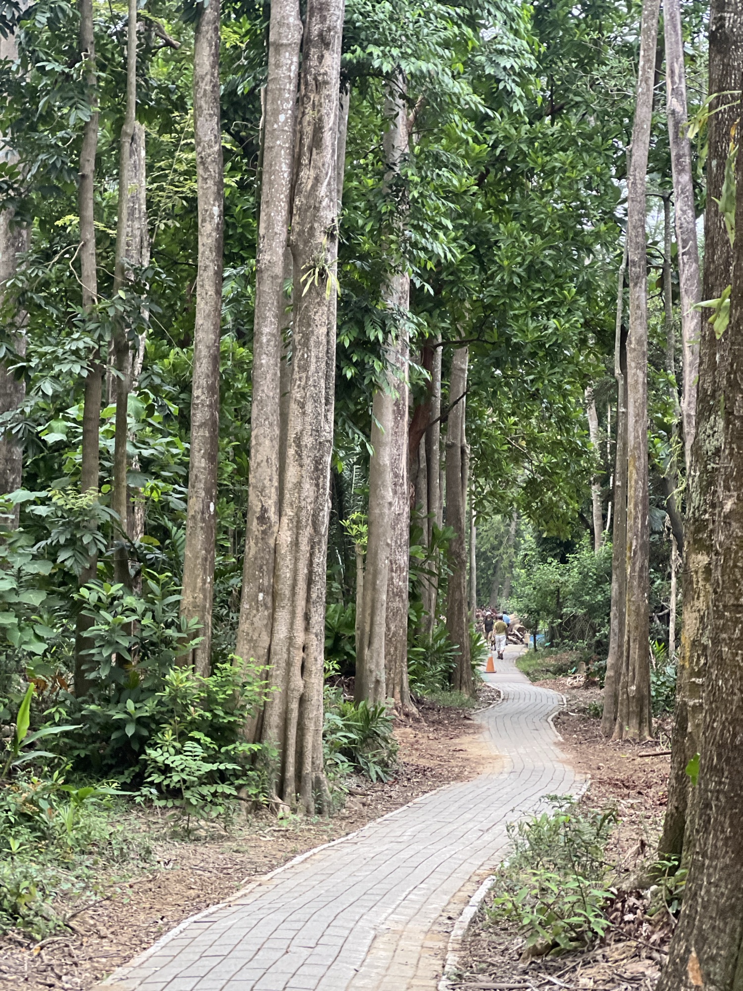 活在當下，定睛於神-Day331