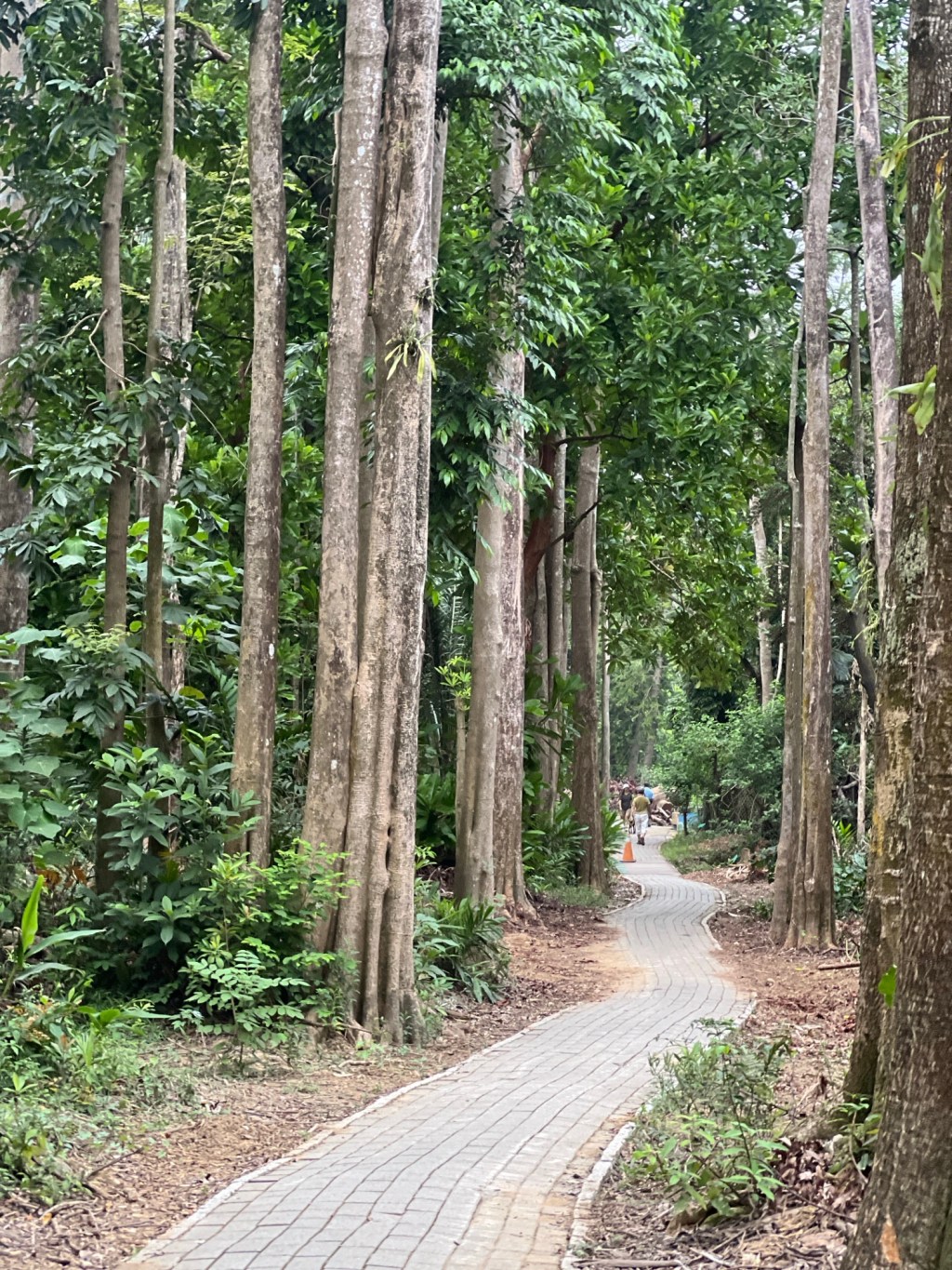 活在當下,定睛於神-Day331