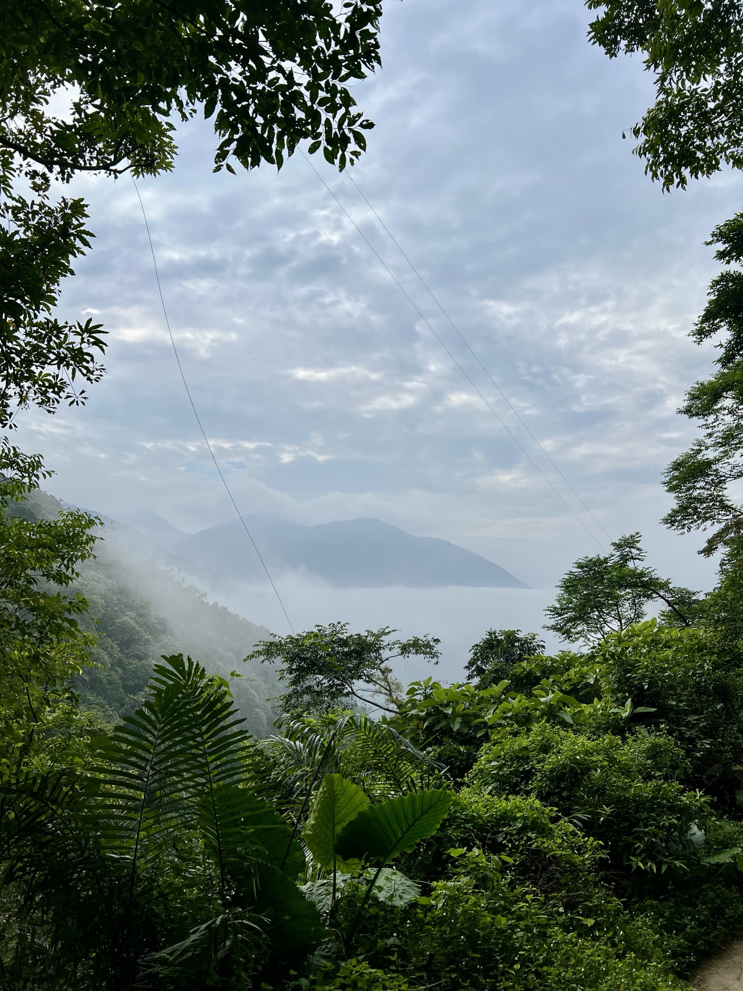 暫停，讓靈安靜下來-Day323