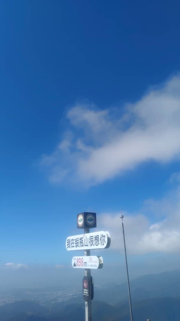 疼痛中學會溫柔-Day311