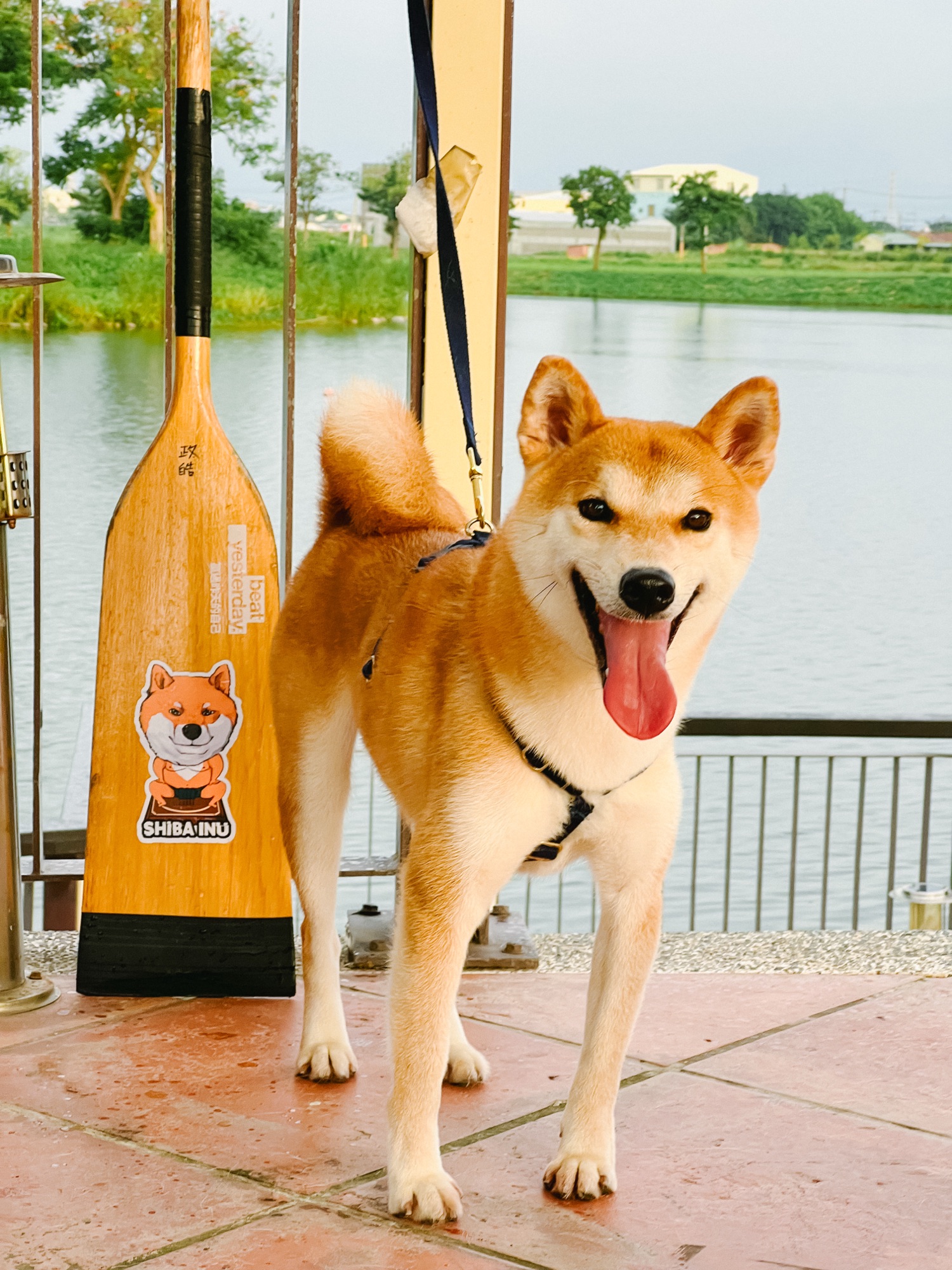 The Joy of Having a&nbsp;Pet