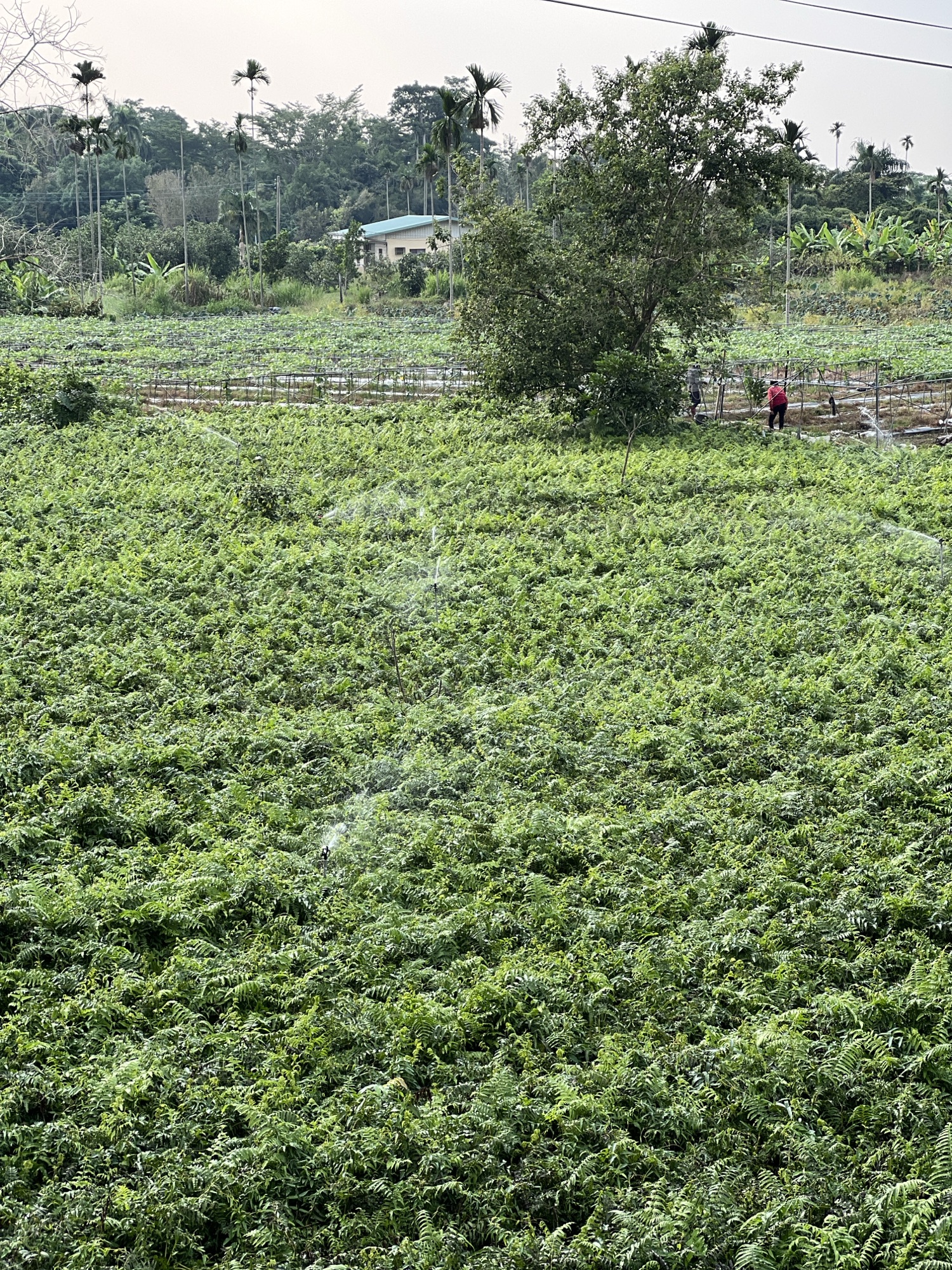 享受我承諾要做的事-Day309