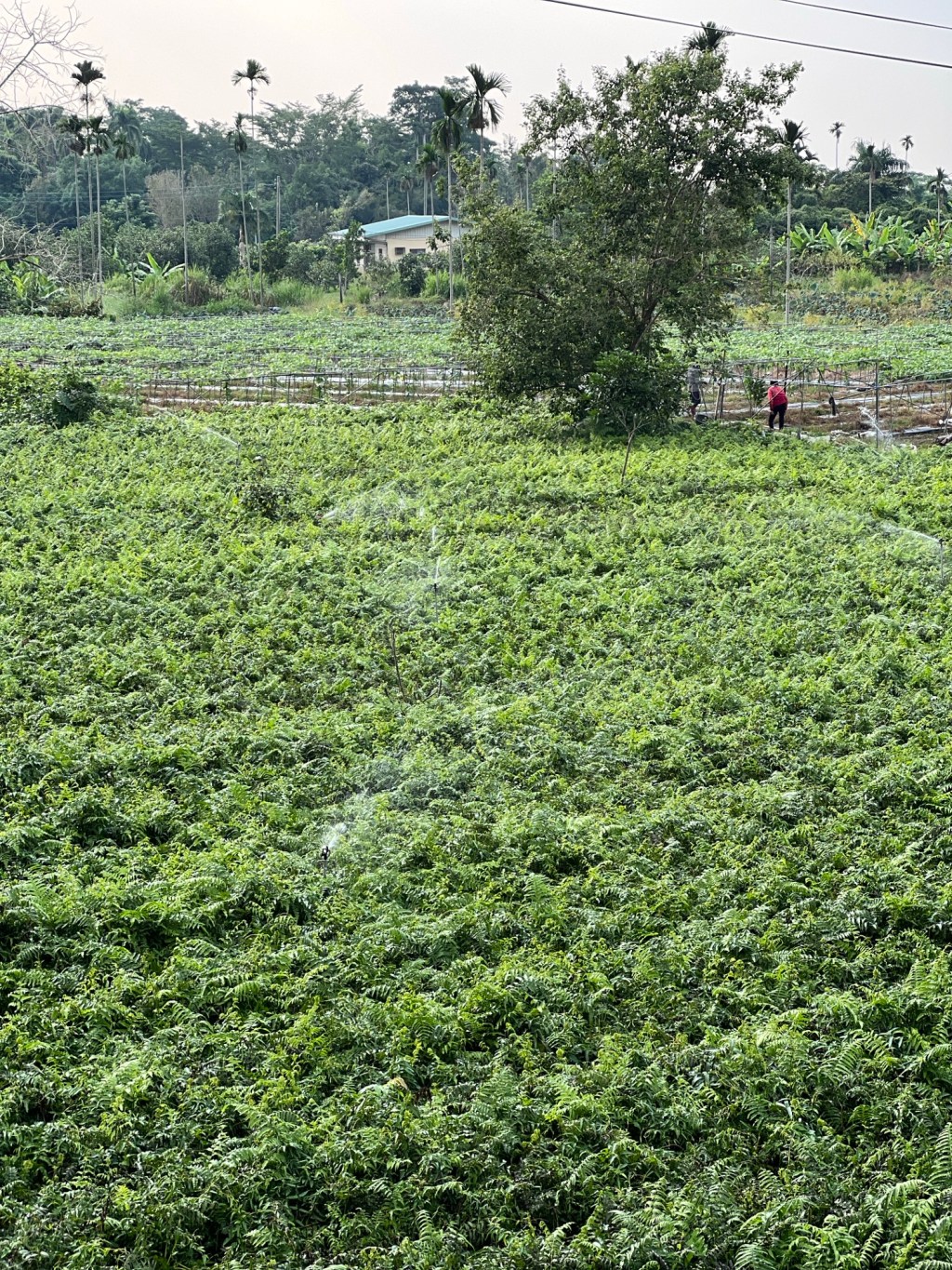享受我承諾要做的事-Day309