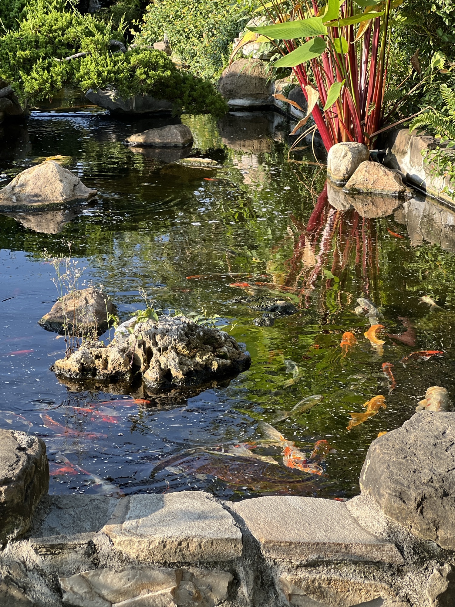 讓自己被生活點亮-Day312