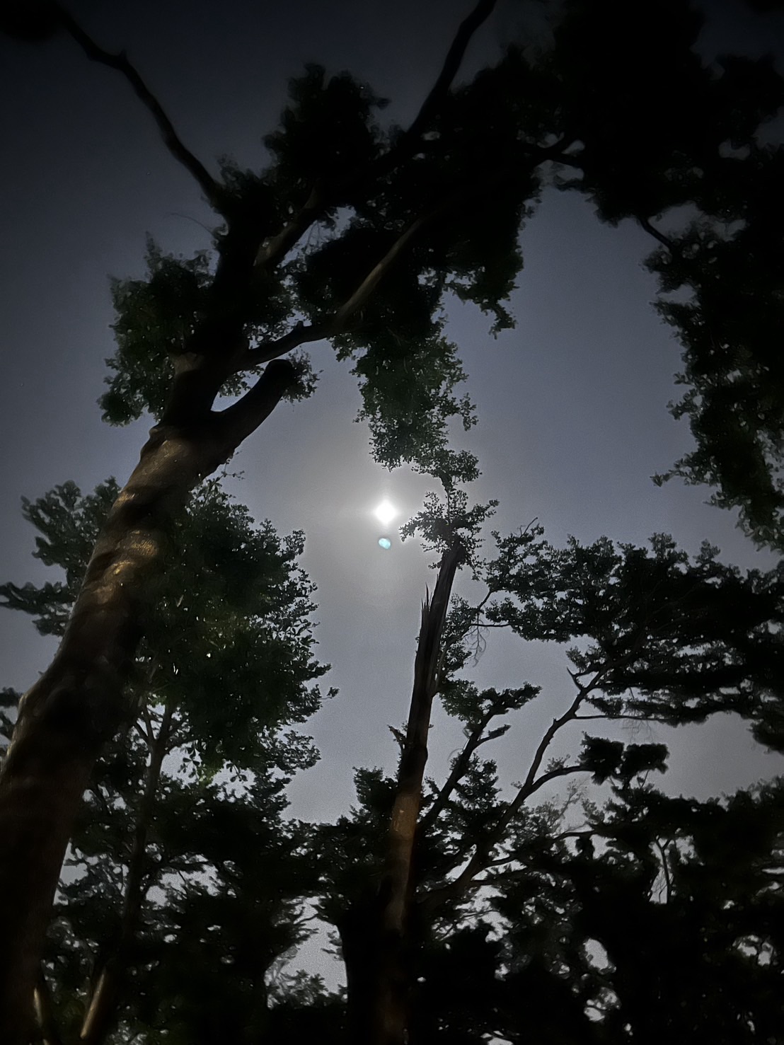 放過自己,也是一種成長 -Day313