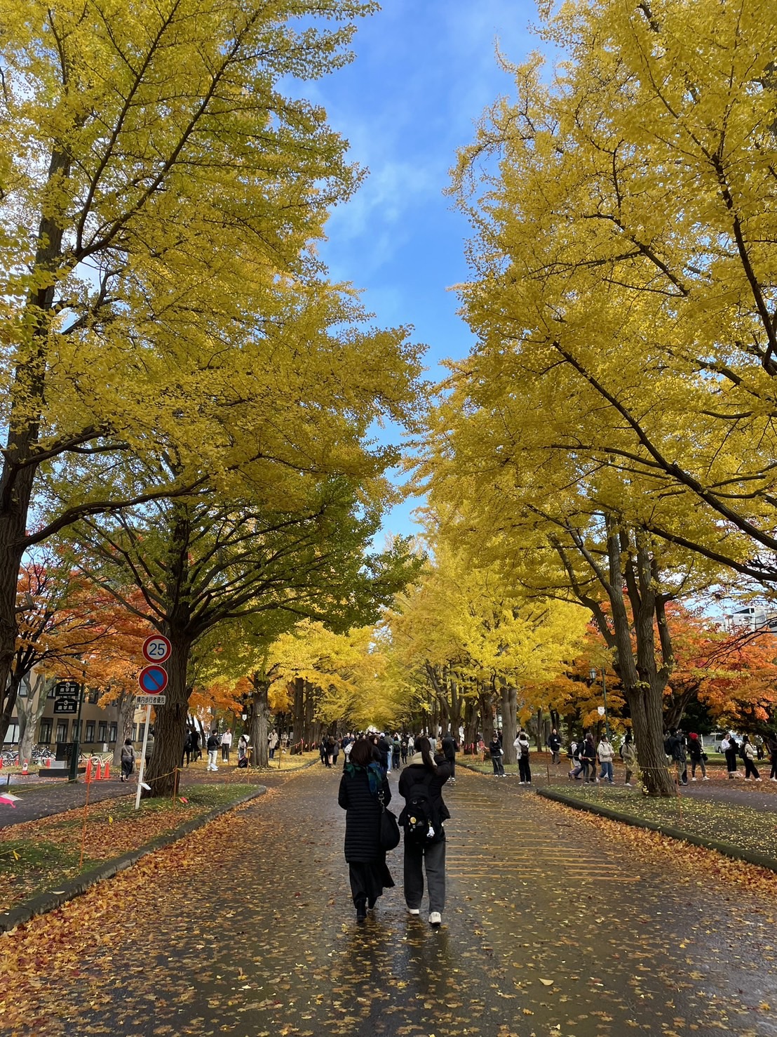 在突發裡找到自己的步伐-Day301