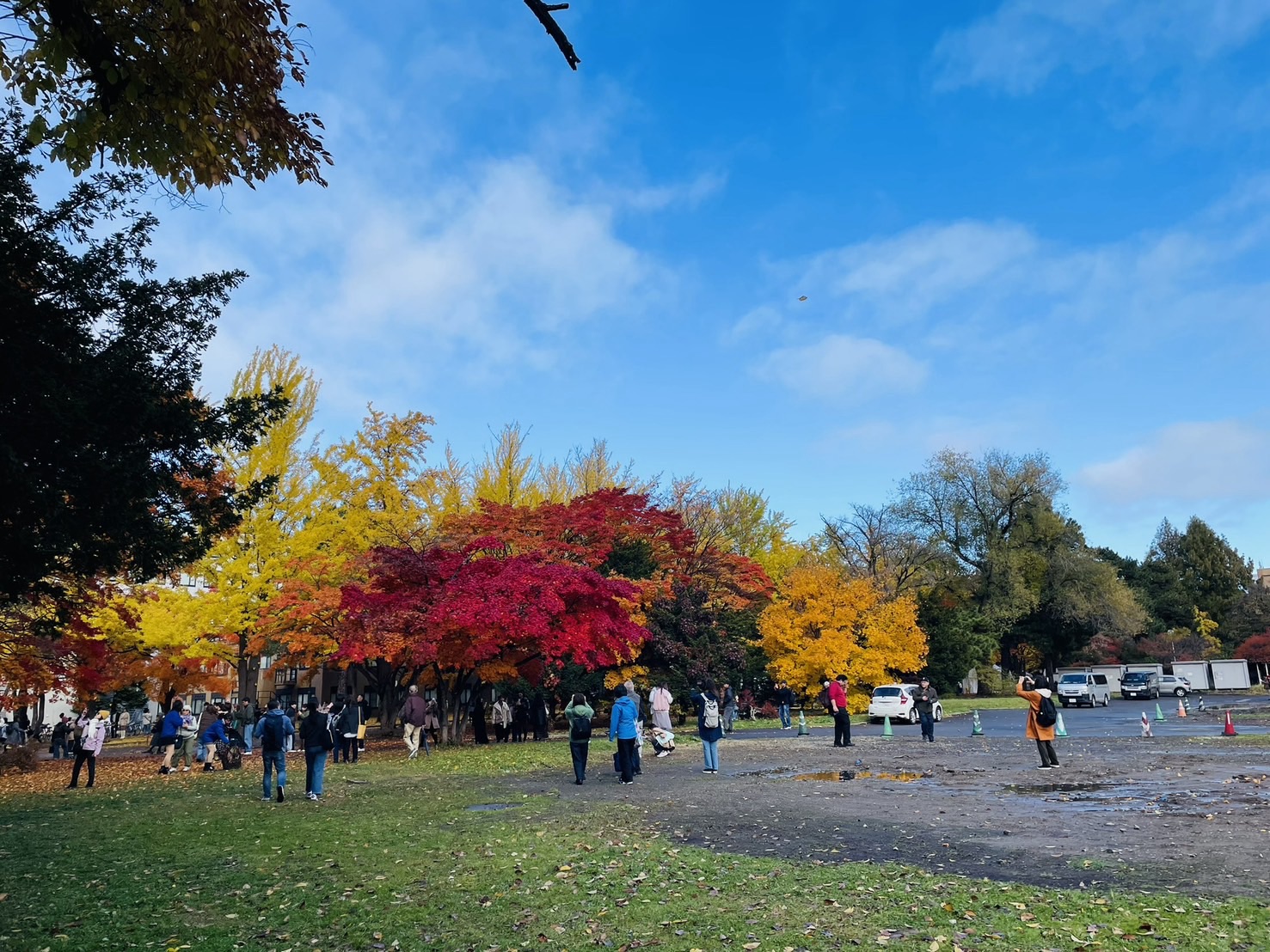 Meeting the Lord Jesus Through Reflective&nbsp;Practice