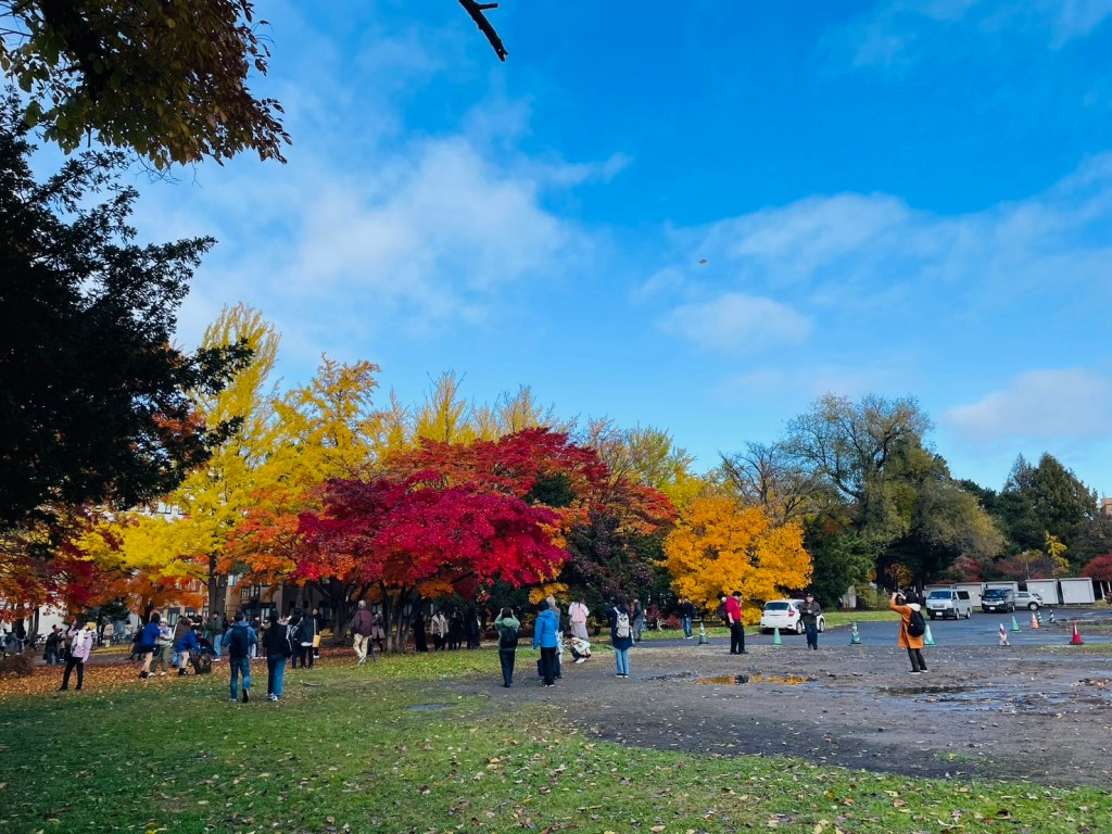 Meeting the Lord Jesus Through Reflective&nbsp;Practice