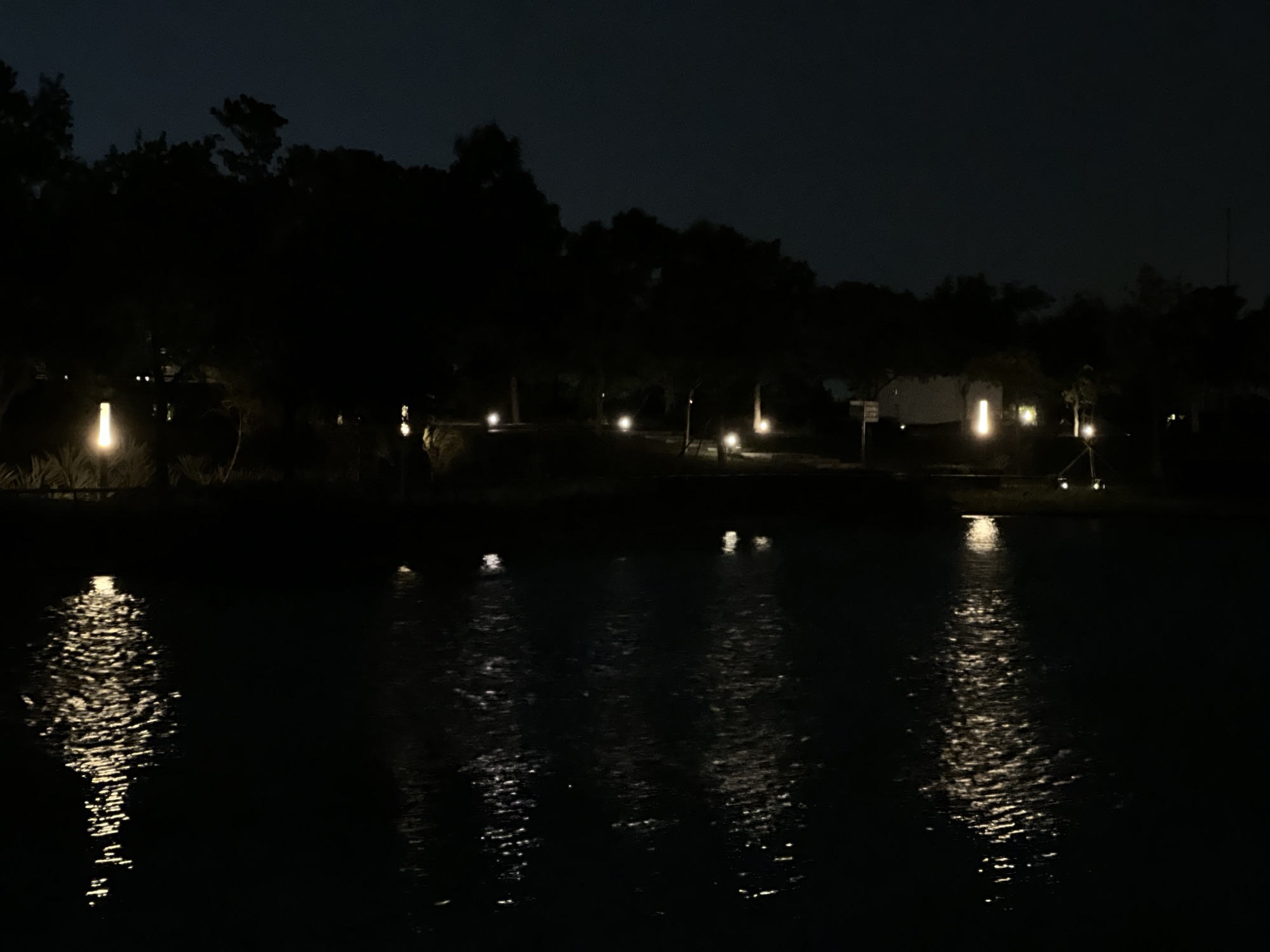 Trusting My Instincts