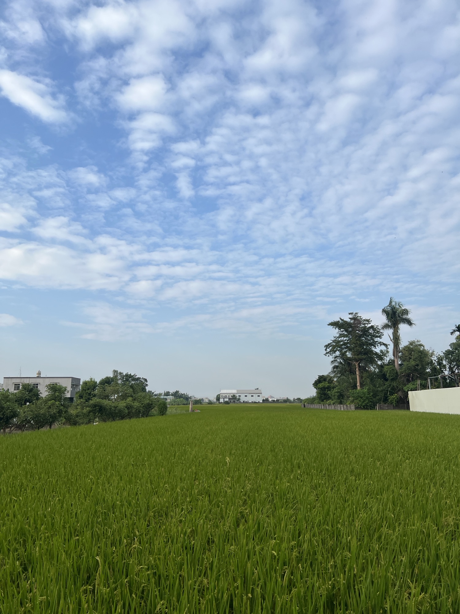 懂得拒絕，懂得說不：也是一種照顧自己的方式-Day298