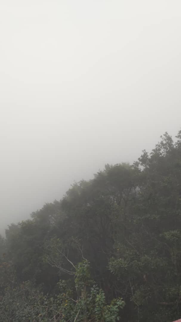 當一年快結束，我們一起為生活做一場「總複盤」-Day271