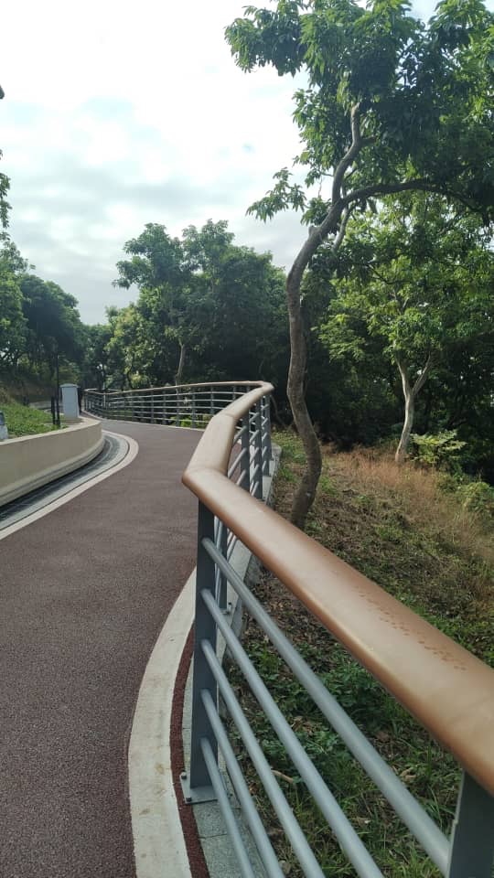 行走、放下，與重新對齊的時刻-Day259