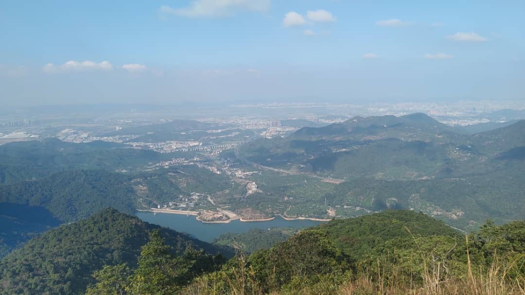 致不敢喊累的隊長們：你的身體，是這間公司最大的「系統性風險」-Day266