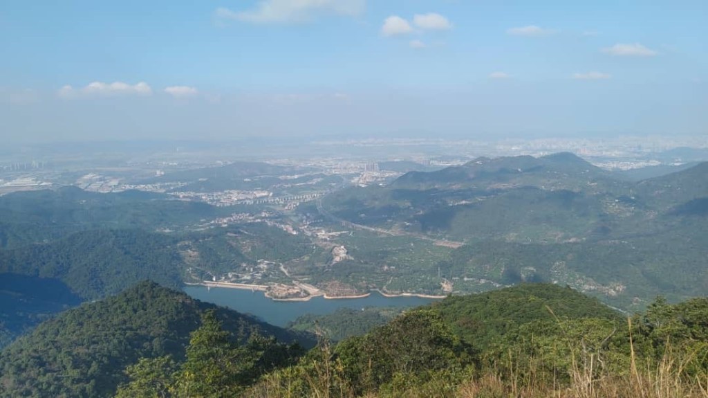 致不敢喊累的隊長們：你的身體，是這間公司最大的「系統性風險」-Day266