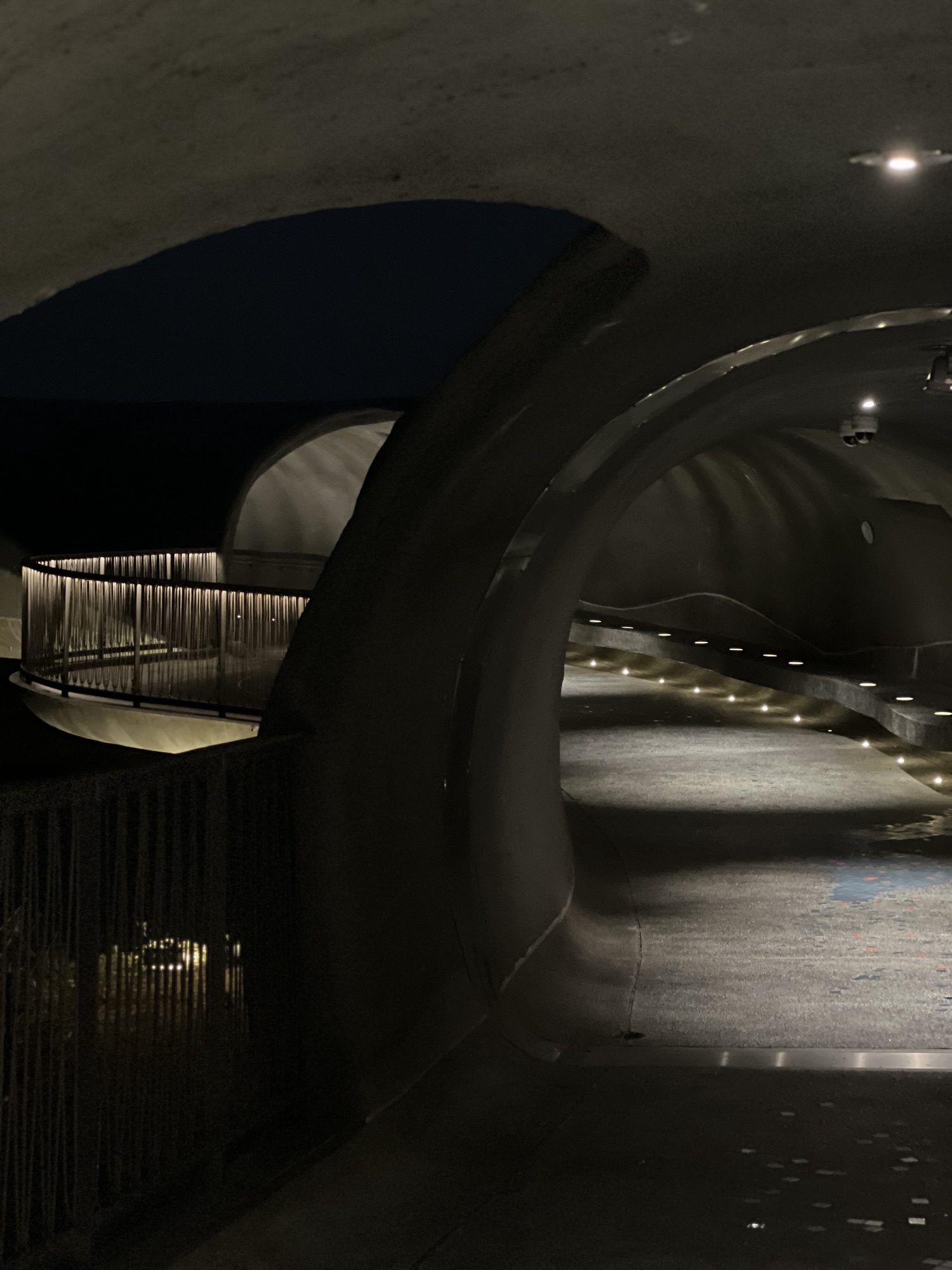 情緒上的幸福：允許自己做一個「活生生」的人-Day285