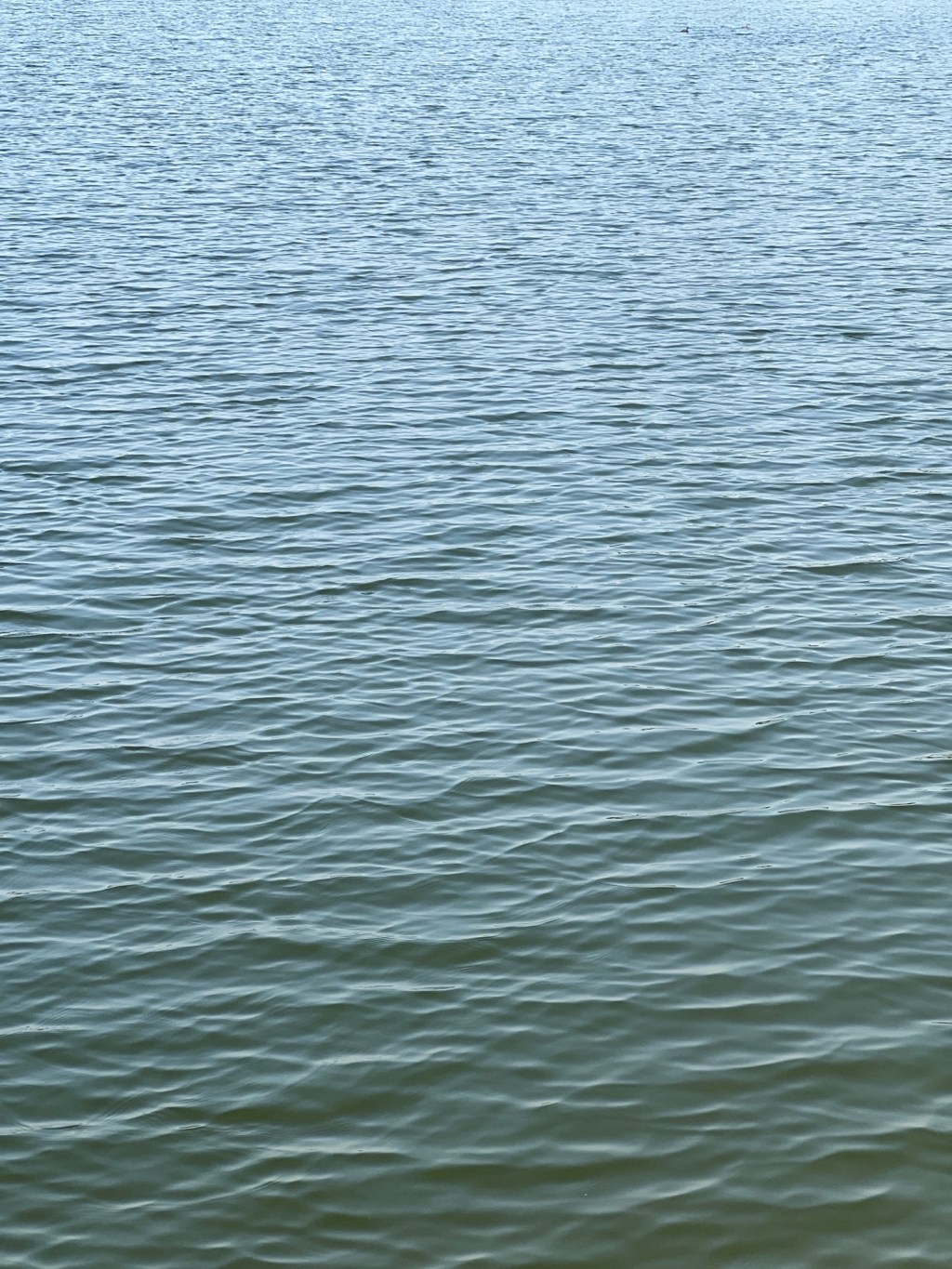 Becoming the “Third Place”: A Quiet Morning at the Southern Branch&nbsp;Museum