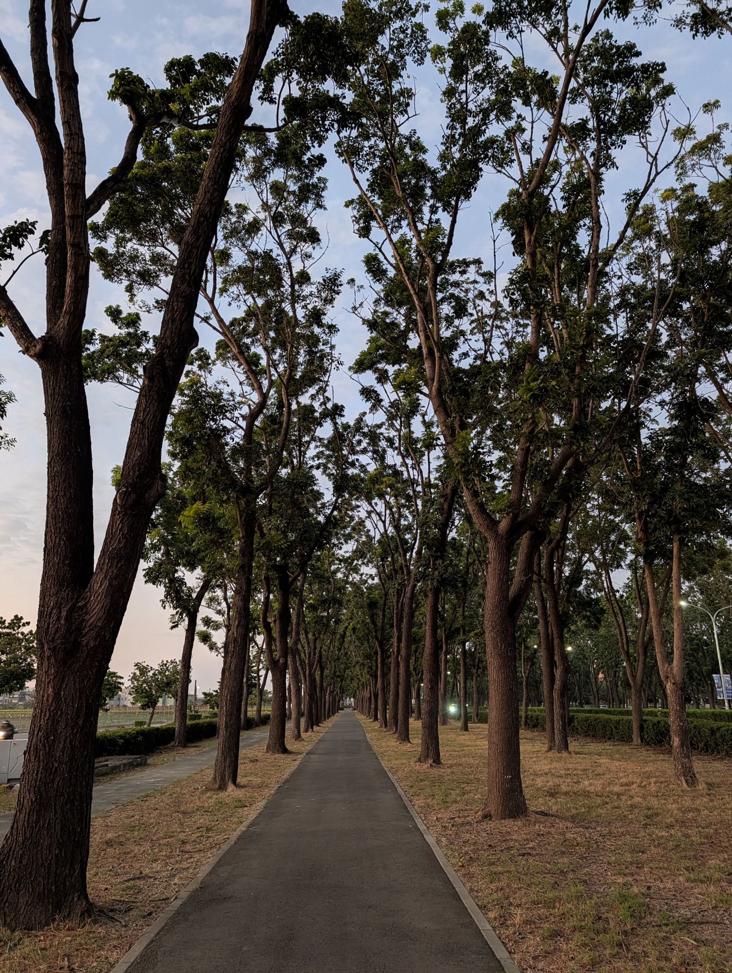 人生設計現場｜走路諮詢：當理工碩士遇見索隆的劍-Day280